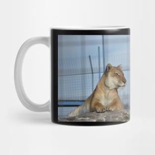 Liger Mug